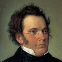 Franz Schubert idézetek