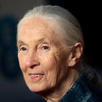 Jane Goodall