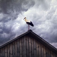 Borús idő idézetek