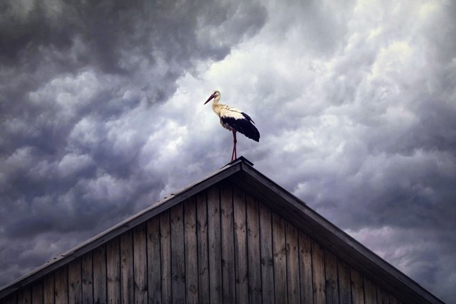 Borús idő idézetek